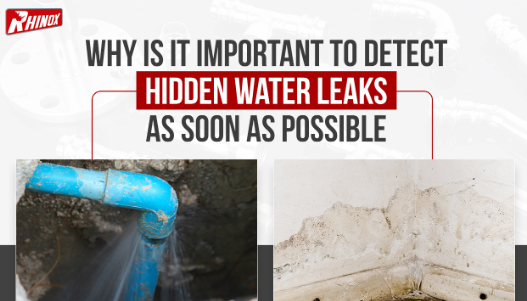 Hidden plumbing leak detection.PN